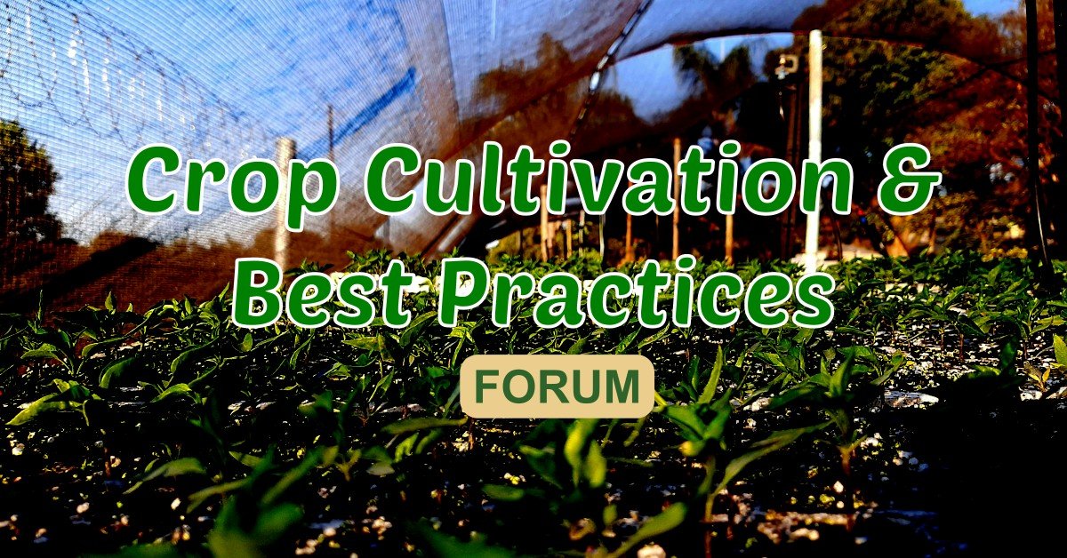 Crop Cultivation & Best Practices