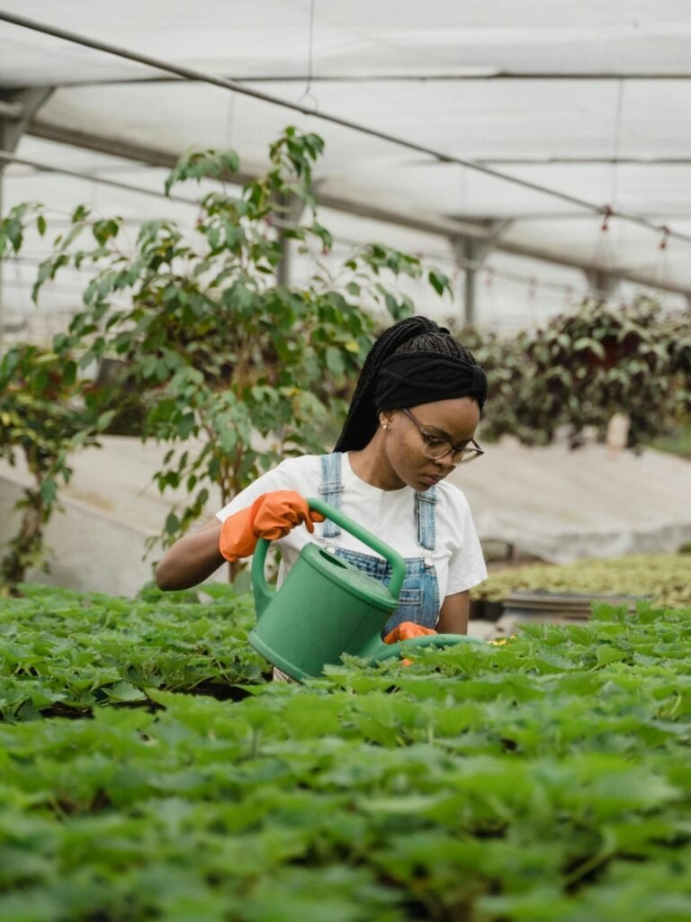 Cultivating crops and raising livestock.