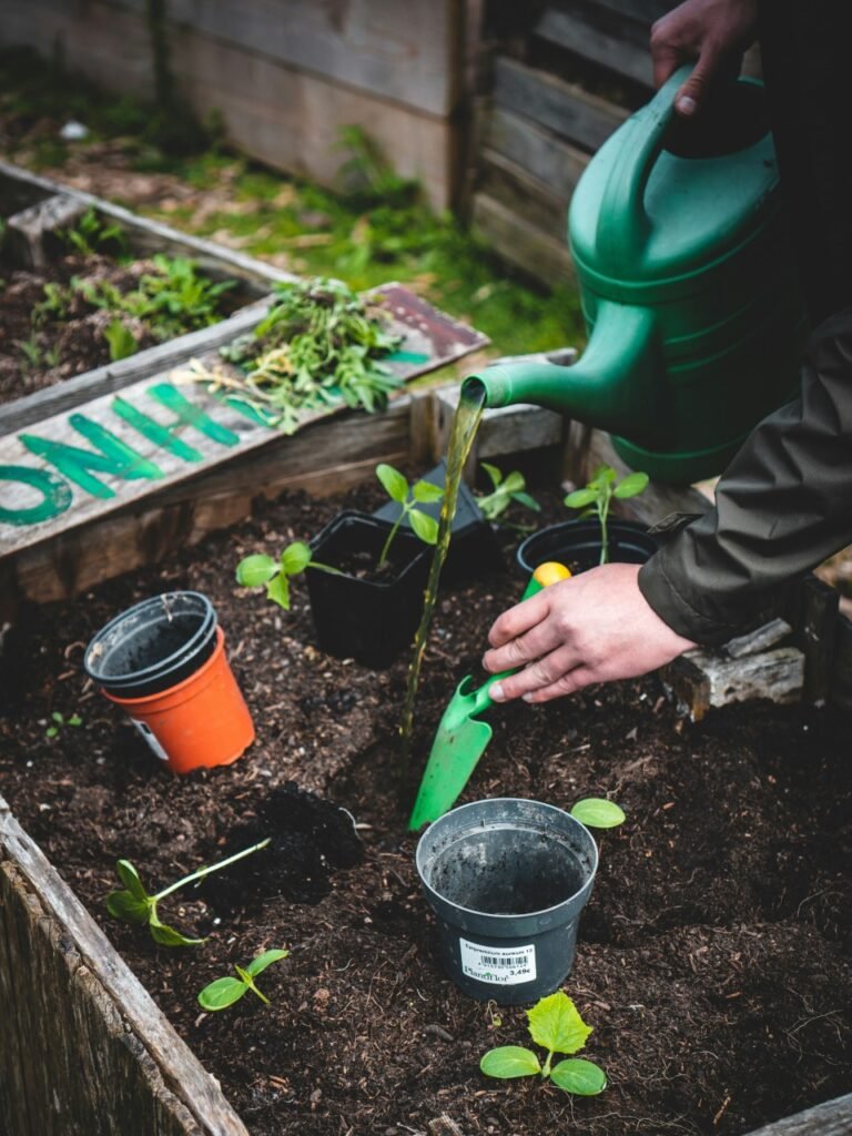 Passionate about farming and gardening.